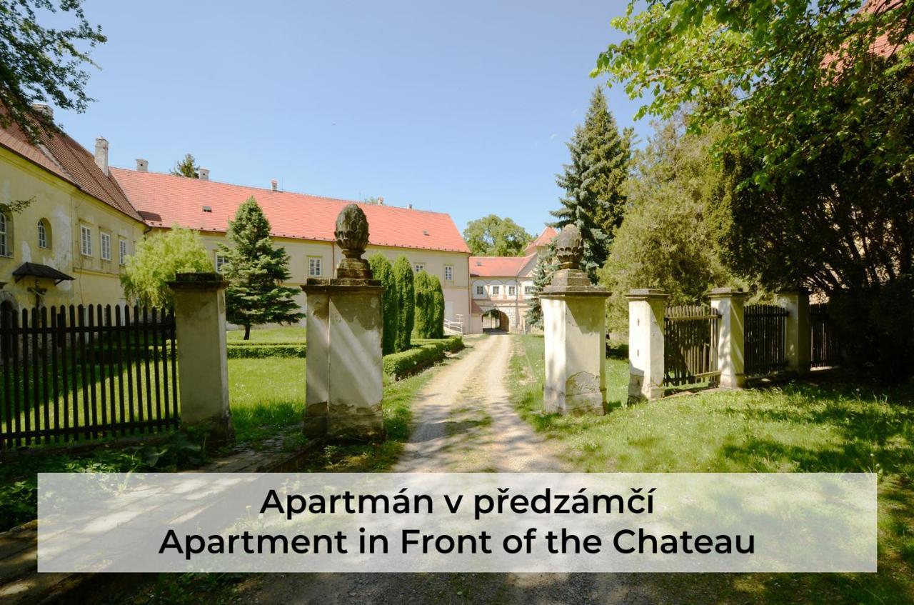 Hotel Zamek Racice Exterior foto
